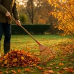 Waarom de herfst het beste moment is om je tuin voor te bereiden